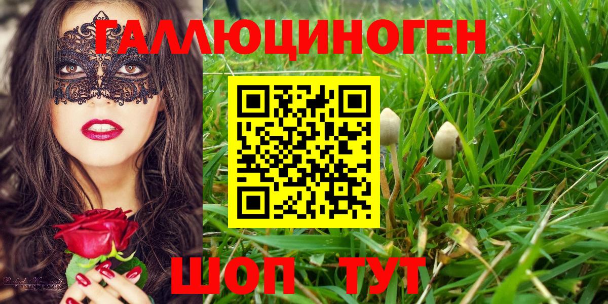 Галлюциногенные грибы Cubensis Фрязино